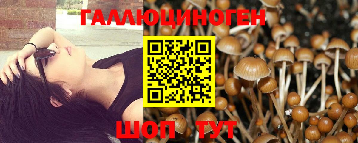 Псилоцибиновые грибы MAGIC MUSHROOMS  Псилоцибиновые грибы прущие грибы  Вход с VPN  хочу   Солнечногорск 